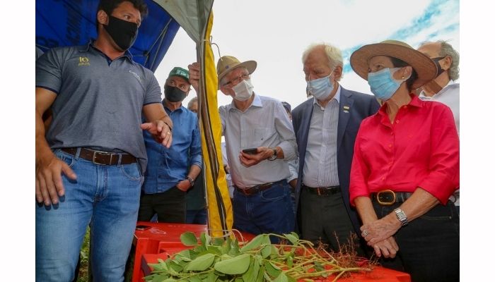 Ministério da Agricultura e Estado avaliam efeitos da estiagem e apoiam produtores do Paraná 